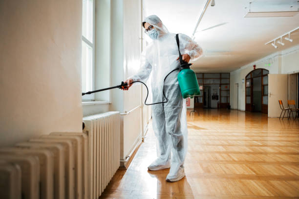 Best Best Pest Control Companies  in Lovelock, NV
