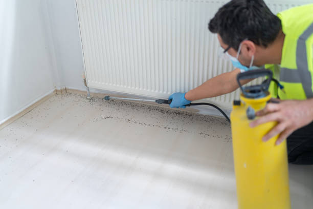 Best Cockroach Control Services  in Lovelock, NV